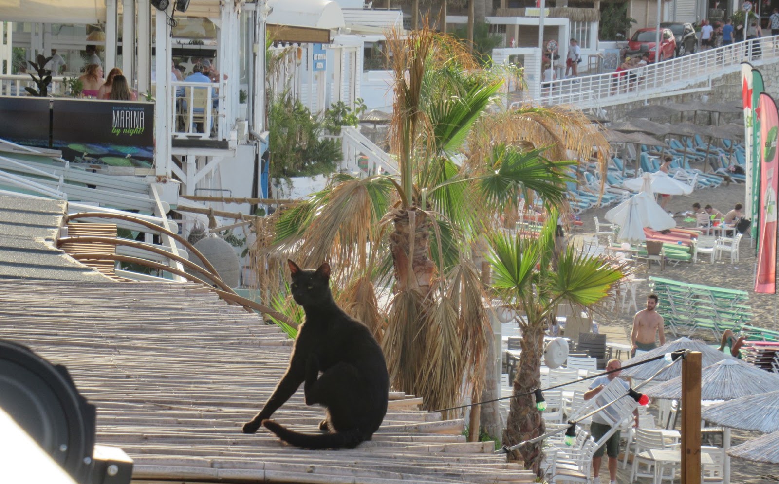 Belebte Strandpromenade mit Palmen und Tavernen am Meer in Hersonissos, Kreta